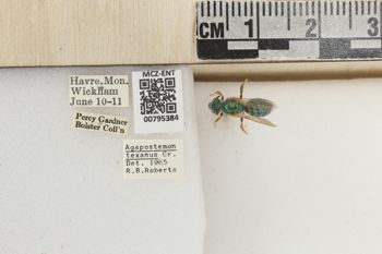 Media type: image;   Entomology 795384 Aspect: Labels